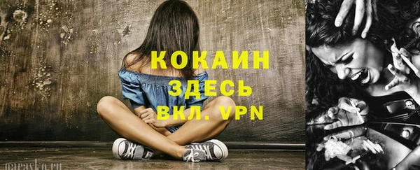 соль курить ск Бородино